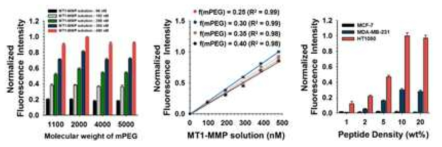 mPEG의 분자량 및 펩타이드 농도에 따른 형광 강도 변화