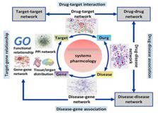 시스템 약리학에 있어 네트워크 분석 모식도