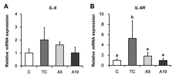 Expression of markers related with inflammation