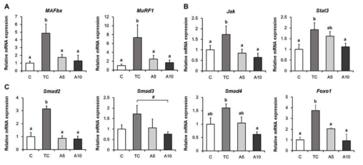 Expression of markers related with muscle degradation