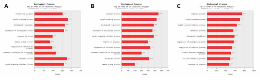 Gene ontology biological processes affected by cancer-induced cachexia in the muscle (A), adipose (B), and liver (C) tissues