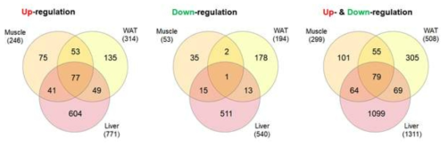 Comparison of the number of differentially expressd genes within all three tissues. WAT, white adipose tissue