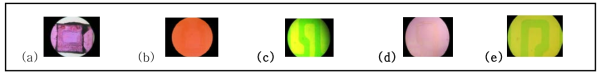 제작된 액정 etalon 의 현미경 사진. (a)1차, (b)2차, (c)3차, (d)4차, (e)5차