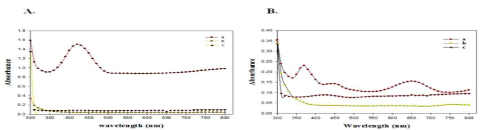 Typical absorption spectra of OPD and TMB by Au@Pt NPs. A: OPD, Au@Pt NPs and H2O2 (a); OPD and H2O2 (b); Au@PtNPs and OPD (c). B: TMB, Au@PtNPs and H2O2 (a); TMB and H2O2 (b); Au@PtNPs and TMB (c)