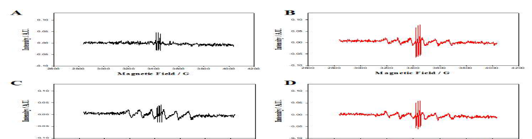 Evolution of electron spin resonance(ESR) spectrum of the spin label CTPO during the autoxidation of (A) glucose, (B) sucrose with or without of presence of Au@Pt nanoparticles