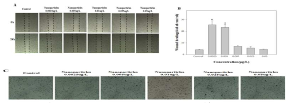 Effect of Au@Pt nanoparticles of migration and invasion in HepG2 cells. (A) The migration of HepG2 cells by scratch wound healing assay;(B) The invasion of HepG2 cells