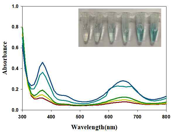 UV-Vis spectra for the mixed soultion of TMB, Au@Pd NPs and various concentrations of H2O2