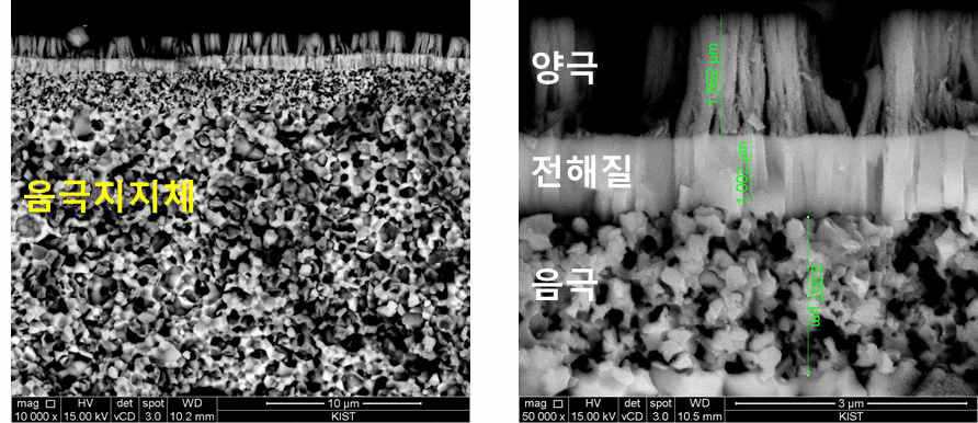 (좌) 음극지지제 기반 박막 PCFC의 단면 이미지, (우) 박막 PCFC의 확대 단면 이미지