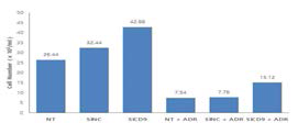 Adriamycin (ADR) 처리 후 B16F10 세포의 증식능에 미치는 CD9 의 영향