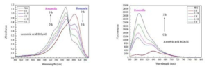 Ascorbic acid에 의한 시간별 Resorufin 흡수 스펙트럼과 Menadione 농도별 Resorufin 형광 스펙트럼