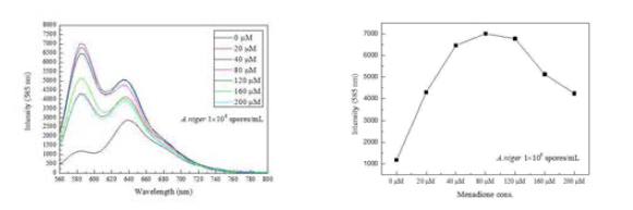 Ascorbic acid에 의한 Menadione 농도별 Resorufin 형광 스펙트럼