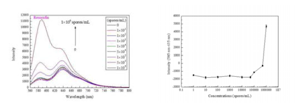 A.niger 농도별 Resorufin 형광 스펙트럼과 Resorufin peak intensity 비교