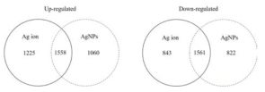 은나노입자와 은이온에 의해 발현된 유전자 수의 비교