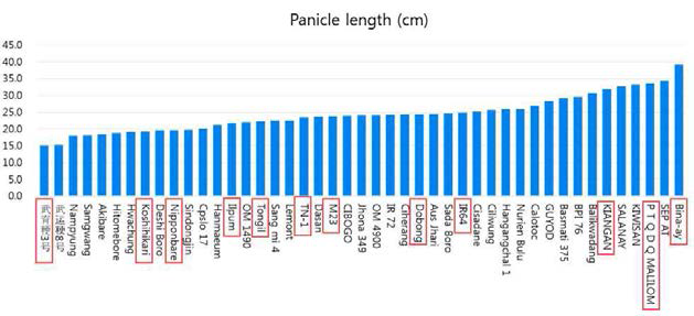 다양한 벼 accession들에 대한 수량성 관련 초형 data의 예. 180 품종에 대한 조사의 일부만을 발췌. Red box로 표시된 품종들이 genotyping을 위해 선발됨