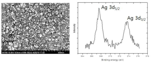 (좌) SEM image, (우) Silver XPS peak