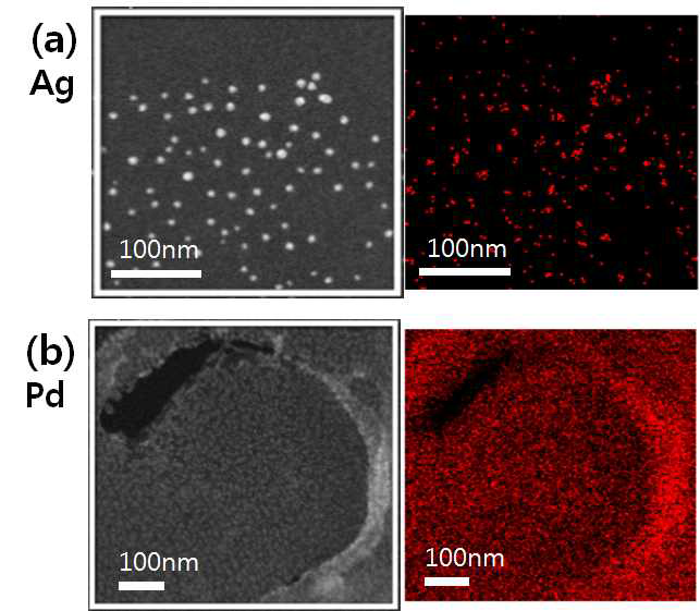 TEM grid 의 nanoparticles EDS mapping image