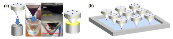 (a) top bubbling system 단일 module, (b) 대면적 top bubbling system 모식도