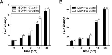 RTH-149 세포주에서 iE-DAP(A), MDP(B) 처리에 따른 OmPGRP-L1의 발현양상
