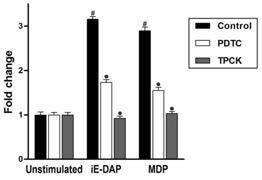 NF-κB inhibitor에 의한 OmPGRP-L1의 발현양상