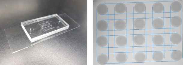 완성된 PCR 칩 이미지 및 수화젤 입자 어레이 확대이미지