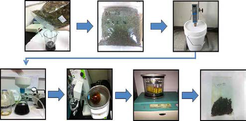 어성초 추출물 제조 과정