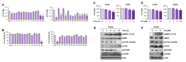 폐암 세포 viability 및 ATP 생성을 억제하는 PA 발굴, (A, B) 천연물 라이브러리의 ATP 생성 (A) 및 암세포생존 (B) 억제 효과 (C-F) PA의 시간 및 농도 의존적 ATP 생성 억제 (C,D) 및 AMPK 활성화 유도 (E, F) 효과