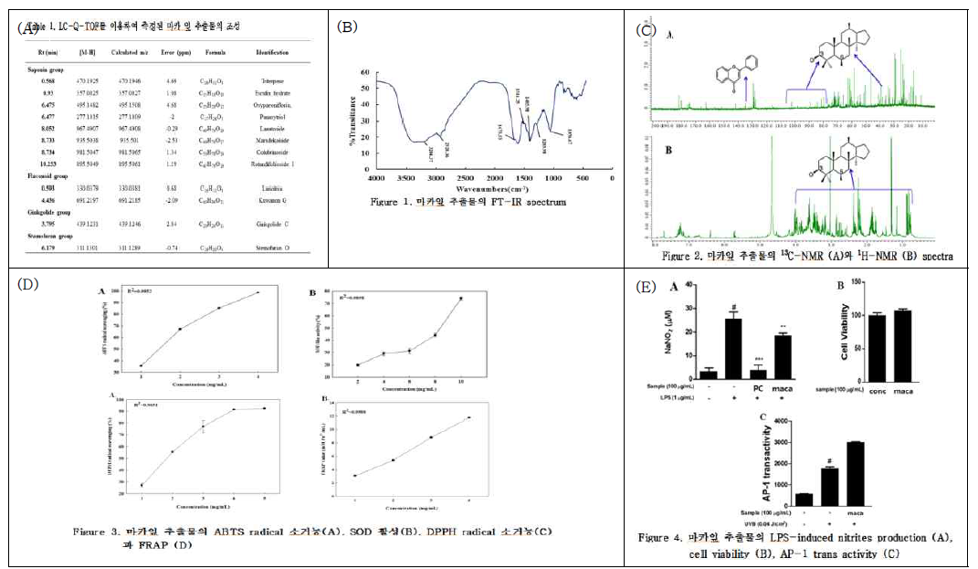 마카 잎 추출물의 조성(A), FT-IR 결과(B), NMR 결과(C), 항산화데이터(D), 항염데이터(E)