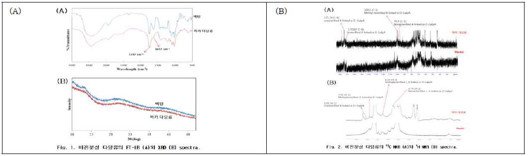 비전분성 다당류의 FT-IR 및 XRD 분석(A), NMR 분석결과(B)