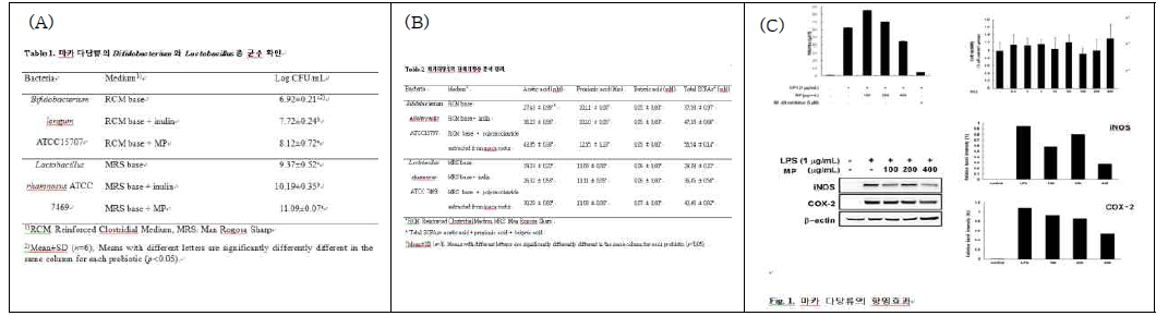 마카 뿌리 다당류의 비피도균 및 락토바실러스 총 균수 확인(A), 단쇄지방산 분석(B) 및 항염효과(C)