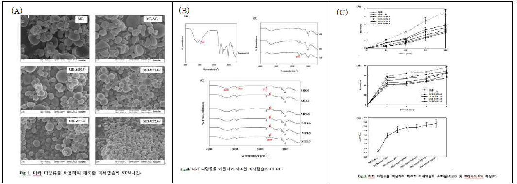 마카 뿌리 다당류를 이용하여 제조한 미세캡슐의 SEM사진(A), FT-IR분석(B), 소화율 및 프리바이오틱 측정(C)