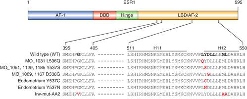 전이성 ER 양성 유방암내 ESR1 유전자 돌연변이 (Nature genetics, 2013)