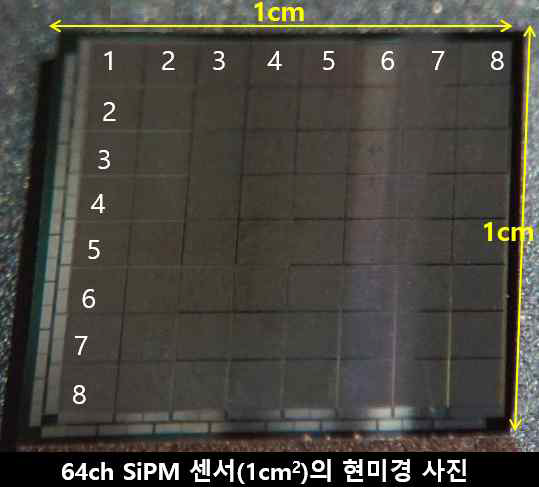 반도체공정으로 제작된 64 다 채널 센서