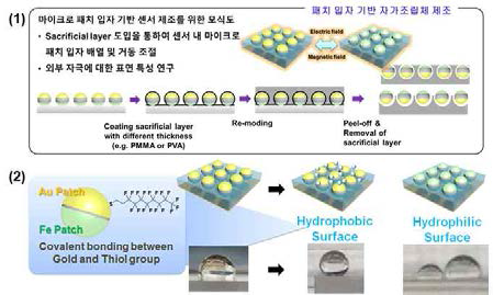 마이크로 패치 입자 표면 개질 및 특성