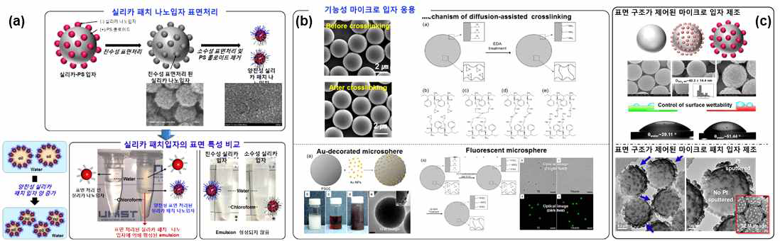 마이크로 패치 입자 표면 구조 제어 연구