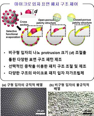 표면 패턴화된 마이크로 입자 배열 연구