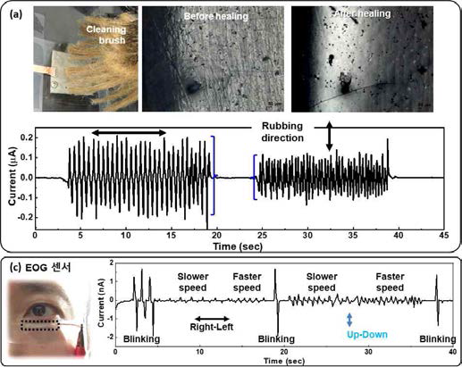 (a) 자기치유 압력 및 (b) EOG 센서 구현 연구