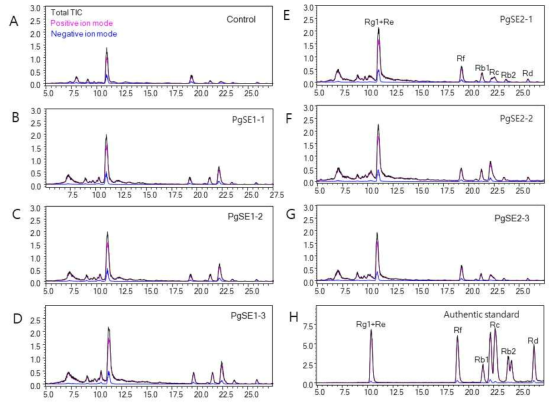 인삼 PgSE1 및 PgSE2 유전자가 과잉발현된 인삼 형질전환 라인의 부정근의 HPLC 분석 결과