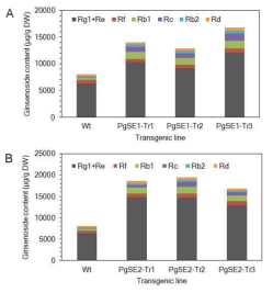 인삼 PgSE1 및 PgSE2 유전자가 과잉발현된 인삼 형질전환 라인의 부정근의 사포닌 정량 분석 결과