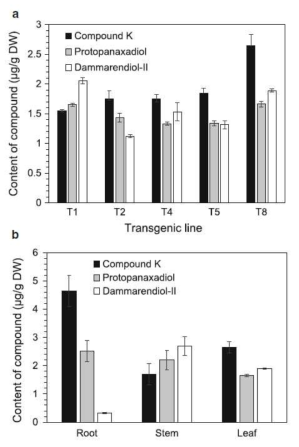 인삼 사포닌 합성관련 유전자 (dammarenediol-II synthase + CYP716A47 + UGT72A28)가 도입된 형질전환 담배 라인 (A)별 형질전환 라인 (T8)의 부위별 compound K, ptotopanaxadiol 및 dammarenediol-II 생산량 (Gwak et al. 2017)