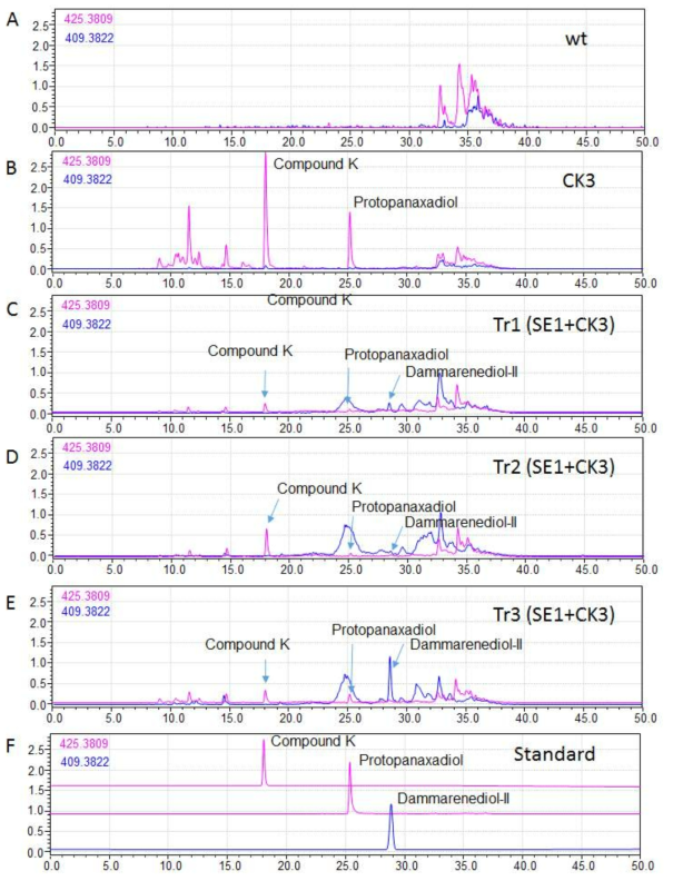 Compound K를 생산하는 형질전환 담배에 인삼 PgSE1 유전자를 추가적으로 과잉발현시킨 담배의 잎에서 compound K 및 protopanaxadiol의 HPLC 분석 결과