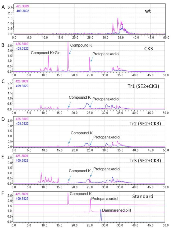 Compound K를 생산하는 형질전환 담배에 인삼 PgSE2 유전자를 추가적으로 과잉발현시킨 담배의 잎에서 compound K 및 protopanaxadiol의 HPLC 분석 결과