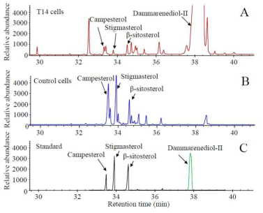 인삼 dammarnediol-II synthase가 과잉발현된 담배 배양세포에서 dammarenediol-II의 생산을 확인 (Han et al. 2014)