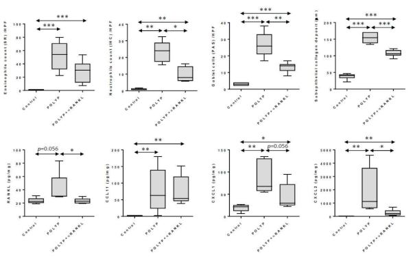 Anti-RANKL treatment in mouse model