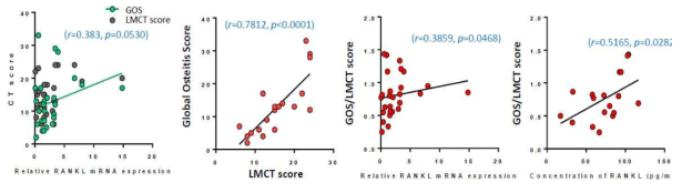 CT score, osteitis scoring과 RANKL의 상관관계