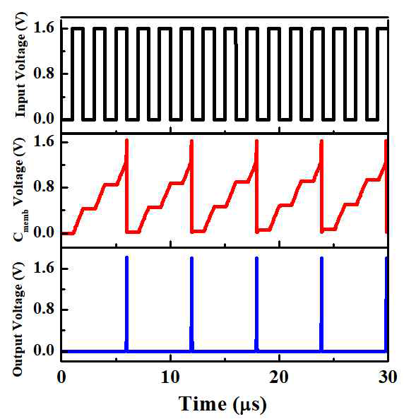 입력 펄스 전압이 인가됨에 따른 멤브레인 커패시터의 전압 변화와 출력 스파이크 발생