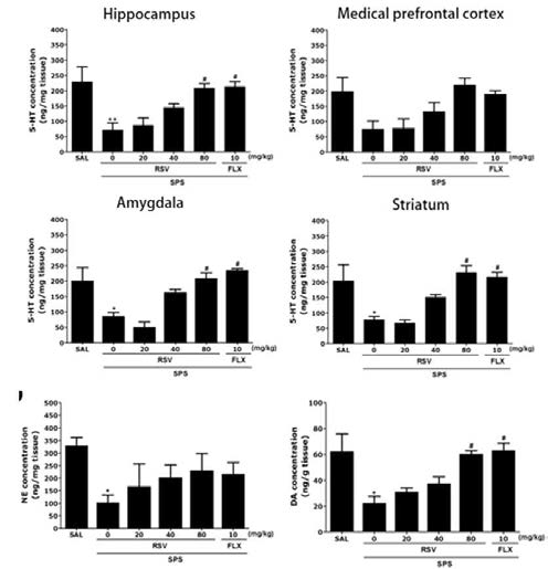 SPS에 의해 유도된 외상 후 스트레스 장애 동물 모델에서 세로토닌, 노르에피네프린 및 도파민 농도에 대한 resveratrol의 효과