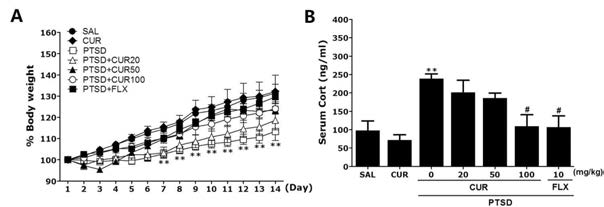 SPS에 의해 유도된 외상 후 스트레스 장애 동물모델에서 체중 (A) 및 혈액내 코르티코이드 변화량(B)에 대한 curcumin의 효과