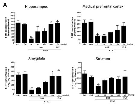 SPS에 의해 유도된 외상 후 스트레스 장애동물모델에서 세로토닌 농도에 대한 curcumin의 효과