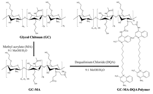 디큐알리늄을 도입한 글리콜 키토산 자가조립 나노입자의 합성과정