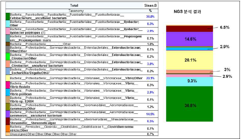 신안 증도 갯벌 퇴적물로부터 농화배양한 미생물 NGS 분석 결과